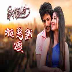 Sahe Thili Suna Heli